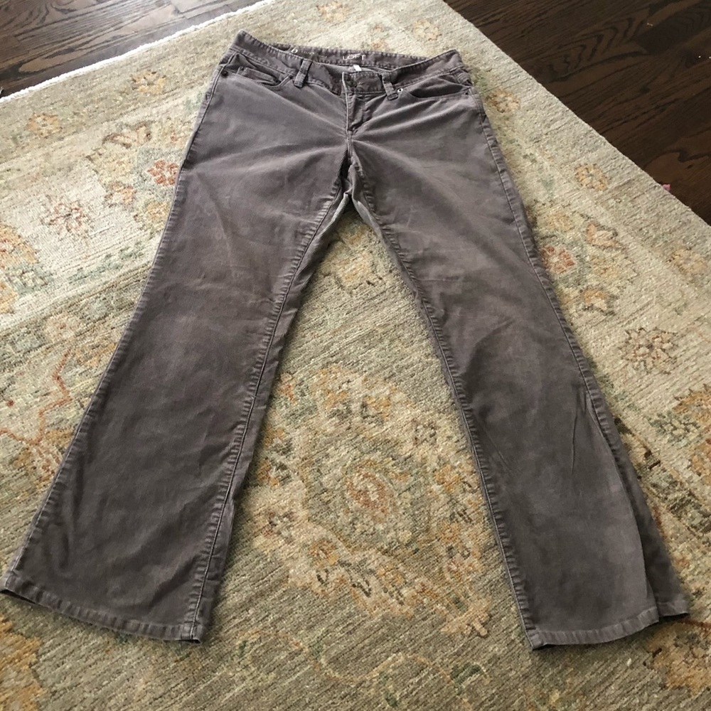 Loft Corduroy Curvy Jeans- Boot